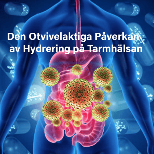 Hydreringens Roll för Tarmhälsan: Utforska Fördelarna med Vätevatten - Hydroflaskan